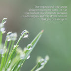 A Course in Miracles 2027 Wall Calendar